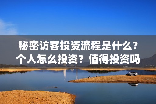 秘密访客投资流程是什么？个人怎么投资？值得投资吗？(秘密访客投资流程图)