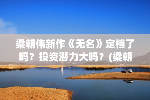 梁朝伟新作《无名》定档了吗？投资潜力大吗？(梁朝伟参演无名)