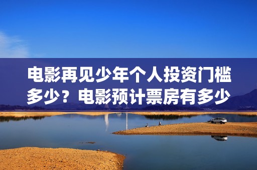 电影再见少年个人投资门槛多少？电影预计票房有多少？(再见少年电影内容)