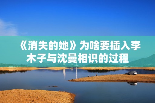 《消失的她》为啥要插入李木子与沈曼相识的过程
