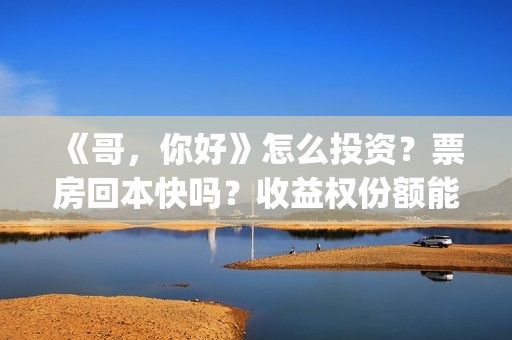 《哥，你好》怎么投资？票房回本快吗？收益权份额能对个人转让吗？(哥哥你好吗是什么歌)