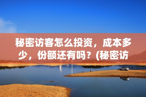 秘密访客怎么投资，成本多少，份额还有吗？(秘密访客害怕么)