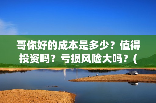 哥你好的成本是多少？值得投资吗？亏损风险大吗？(你好哥哥表情包)
