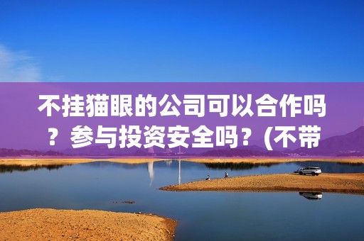 不挂猫眼的公司可以合作吗？参与投资安全吗？(不带猫眼的门才安全吗)