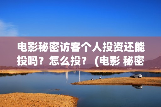 电影秘密访客个人投资还能投吗？怎么投？ (电影 秘密访客)