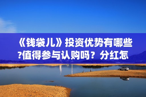 《钱袋儿》投资优势有哪些?值得参与认购吗？分红怎么计算？(钱袋子借款可靠吗)