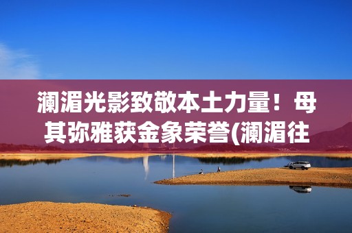 澜湄光影致敬本土力量！母其弥雅获金象荣誉(澜湄往年海报)