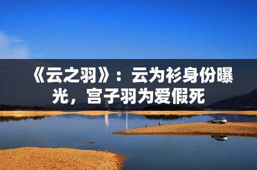 《云之羽》：云为衫身份曝光，宫子羽为爱假死