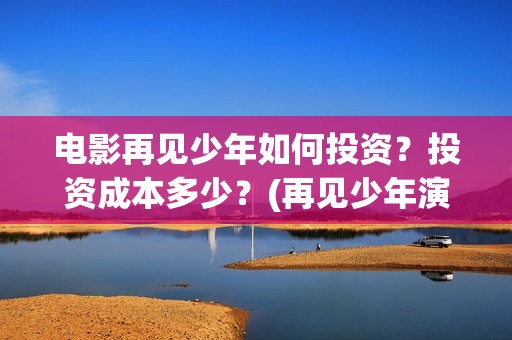 电影再见少年如何投资？投资成本多少？(再见少年演的啥)