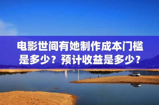电影世间有她制作成本门槛是多少？预计收益是多少？普通人怎么投资？(世间有她是什么片)