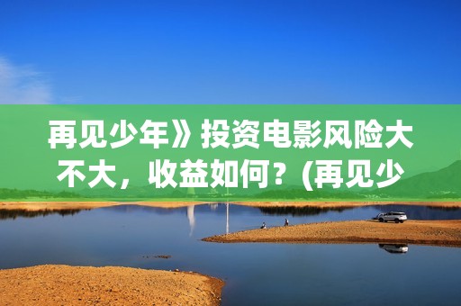 再见少年》投资电影风险大不大，收益如何？(再见少年个人投资真实吗)