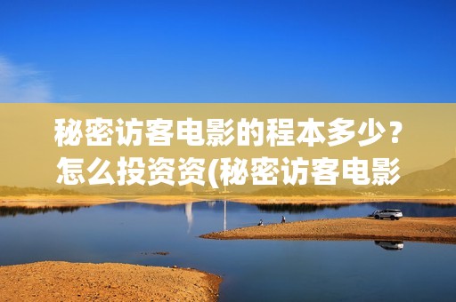 秘密访客电影的程本多少？怎么投资资(秘密访客电影演的什么意思)