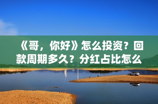 《哥，你好》怎么投资？回款周期多久？分红占比怎么计算？(你好哥哥)