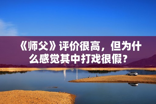 《师父》评价很高，但为什么感觉其中打戏很假？