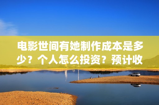 电影世间有她制作成本是多少？个人怎么投资？预计收益是多少？(《世间有她》)