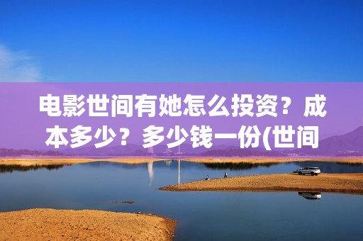 电影世间有她怎么投资？成本多少？多少钱一份(世间有她电影现在什么情况)