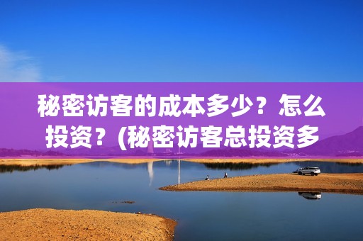 秘密访客的成本多少？怎么投资？(秘密访客总投资多少)