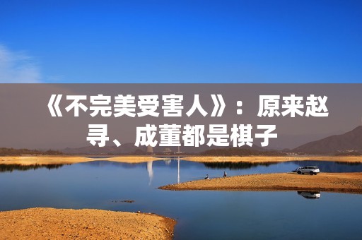 《不完美受害人》：原来赵寻、成董都是棋子