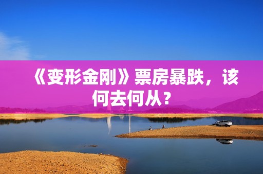 《变形金刚》票房暴跌，该何去何从？