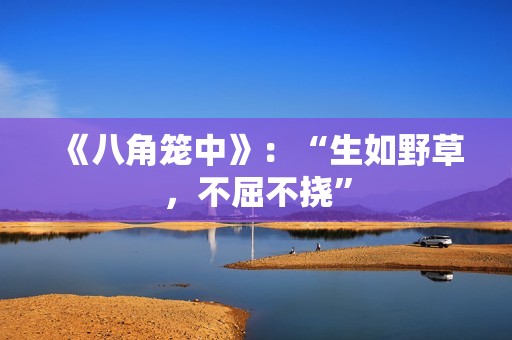 《八角笼中》：“生如野草，不屈不挠”