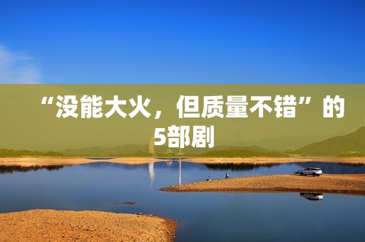 “没能大火，但质量不错”的5部剧