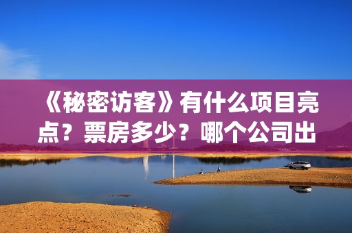 《秘密访客》有什么项目亮点？票房多少？哪个公司出品的？(秘密访客再讲什么)