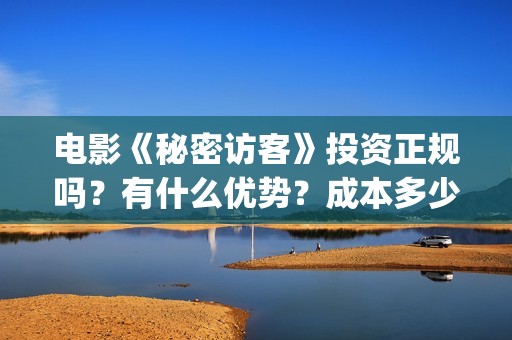 电影《秘密访客》投资正规吗？有什么优势？成本多少？(电影《秘密访客》演员表)