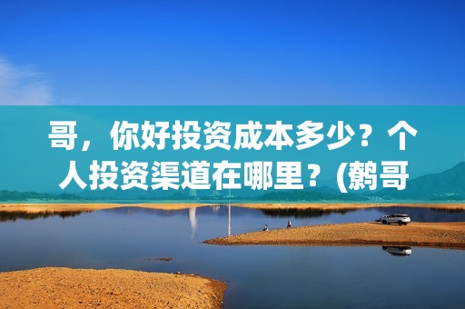 哥，你好投资成本多少？个人投资渠道在哪里？(鹩哥你好mp3)