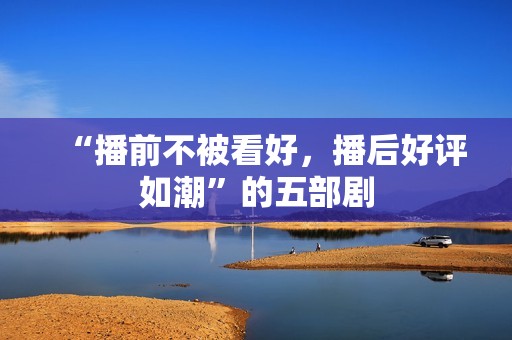 “播前不被看好，播后好评如潮”的五部剧