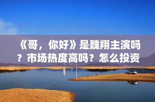 《哥，你好》是魏翔主演吗？市场热度高吗？怎么投资认购？分账快吗？(鹩哥你好mp3)