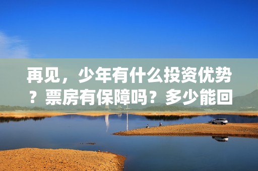 再见，少年有什么投资优势？票房有保障吗？多少能回本？(再见,少年语录)