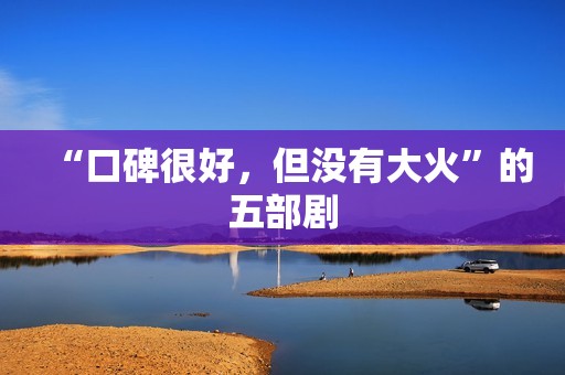 “口碑很好，但没有大火”的五部剧