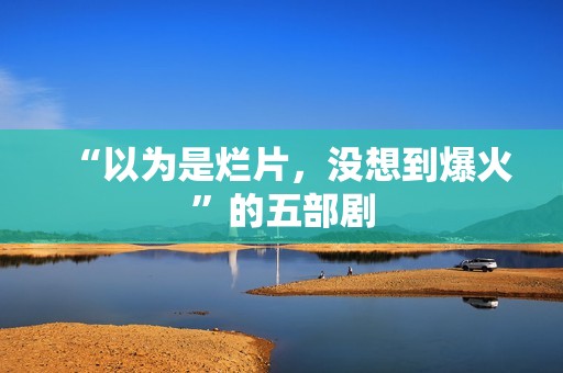 “以为是烂片，没想到爆火”的五部剧