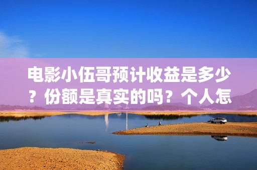 电影小伍哥预计收益是多少？份额是真实的吗？个人怎么投资？(小伍哥电影百度百科)