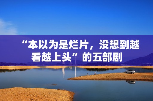 “本以为是烂片，没想到越看越上头”的五部剧