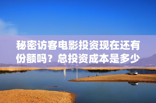 秘密访客电影投资现在还有份额吗？总投资成本是多少？(秘密访客电影预告)