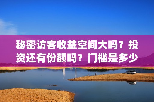 秘密访客收益空间大吗？投资还有份额吗？门槛是多少?(秘密访客没意思)
