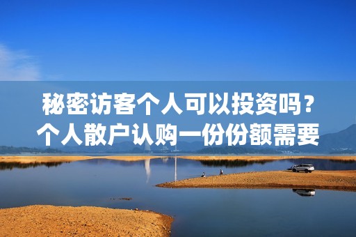 秘密访客个人可以投资吗？个人散户认购一份份额需要多少钱？(秘密访客访客是谁)