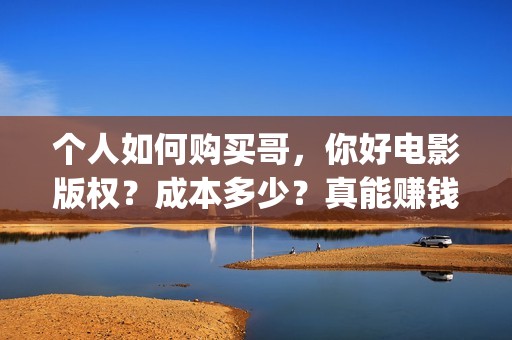 个人如何购买哥，你好电影版权？成本多少？真能赚钱吗？(个人如何买一家公司)