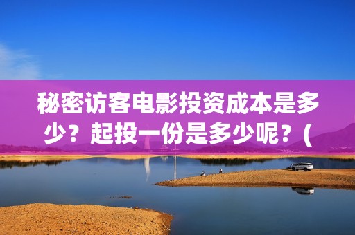 秘密访客电影投资成本是多少？起投一份是多少呢？(秘密访客电影预告)