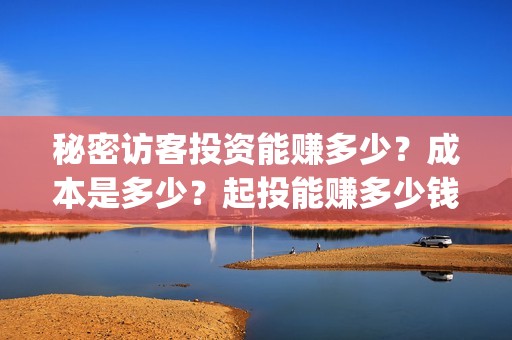 秘密访客投资能赚多少？成本是多少？起投能赚多少钱？(秘密访客买票)