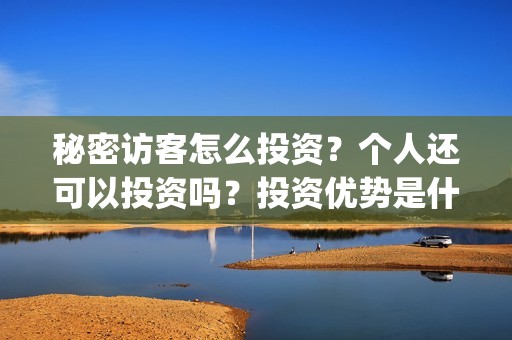 秘密访客怎么投资？个人还可以投资吗？投资优势是什么？(秘密访客怎么投资)