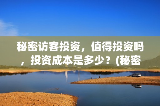 秘密访客投资，值得投资吗，投资成本是多少？(秘密访客赔钱了吗)
