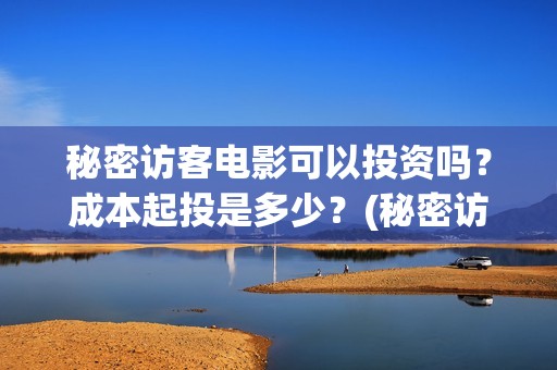 秘密访客电影可以投资吗？成本起投是多少？(秘密访客什么电影)