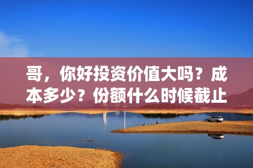 哥，你好投资价值大吗？成本多少？份额什么时候截止？(歌曲哥哥你好)
