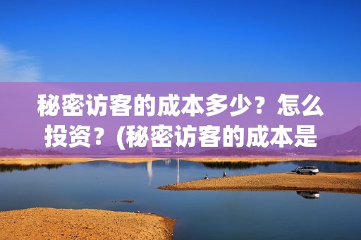 秘密访客的成本多少？怎么投资？(秘密访客的成本是多少)