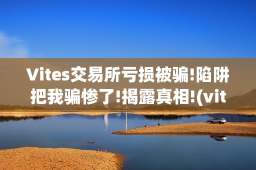 Vites交易所亏损被骗!陷阱把我骗惨了!揭露真相!(vitex交易所)