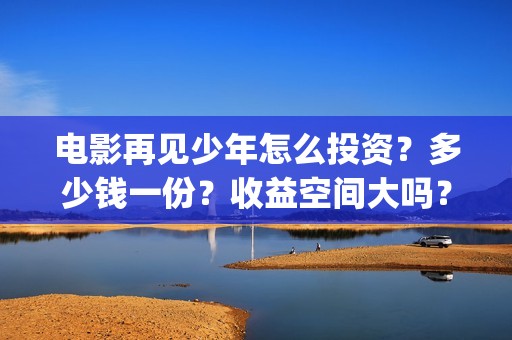 电影再见少年怎么投资？多少钱一份？收益空间大吗？(再见少年电影啥意思)