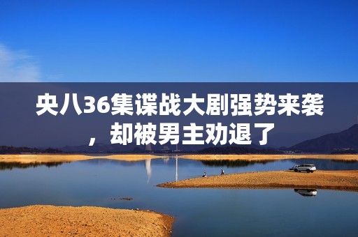 央八36集谍战大剧强势来袭，却被男主劝退了