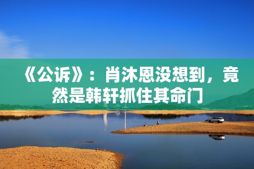 《公诉》：肖沐恩没想到，竟然是韩轩抓住其命门